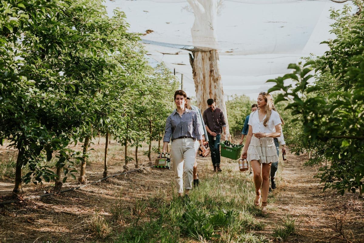 Friends walking an Adelaide Hills orchard carrying crates of cider