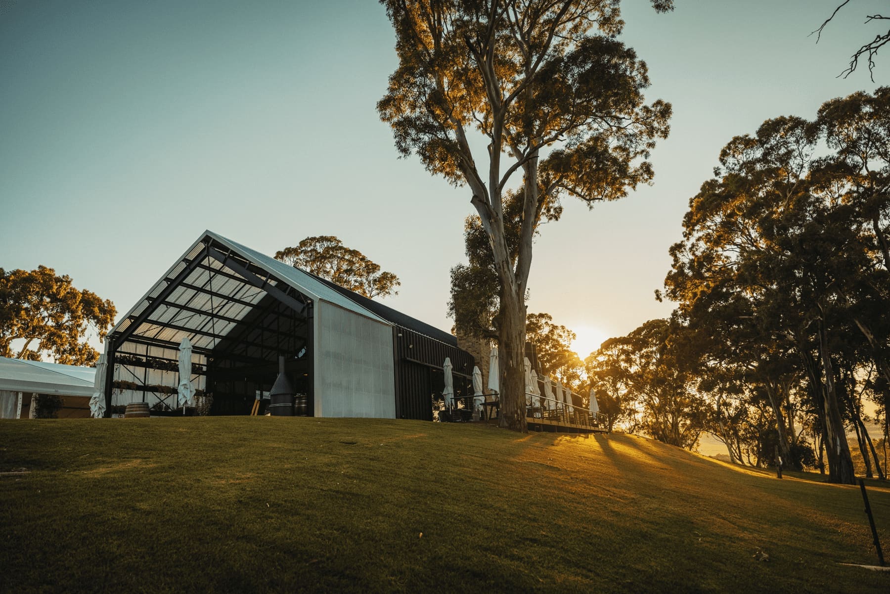 Distillery and venue at golden hour among gum trees
